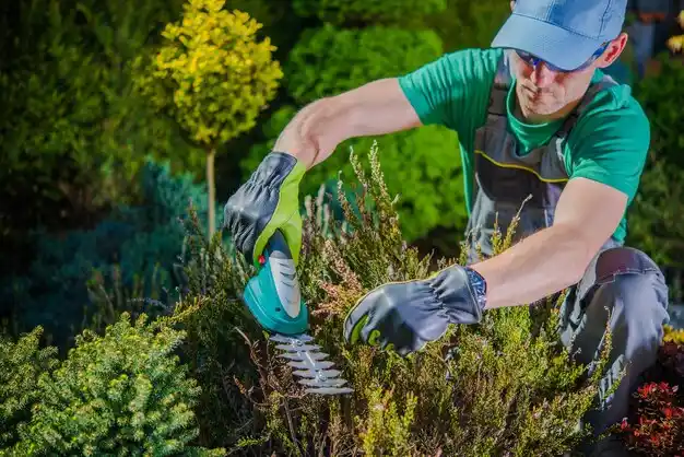 landscaping services Capac